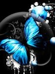 pic for Blue Butterfly